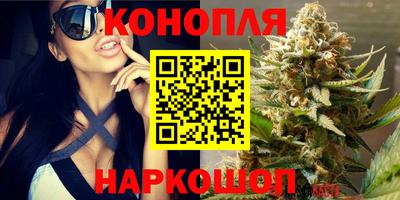a pvp Лесосибирск